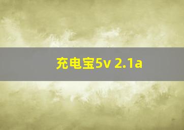 充电宝5v 2.1a